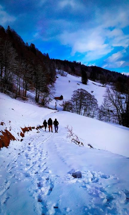 Berggasthof Hintergraseck